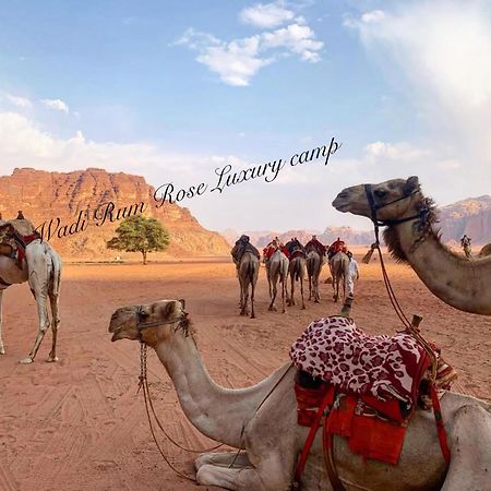 Wadi Rum Rose Luxury Camp Ngoại thất bức ảnh