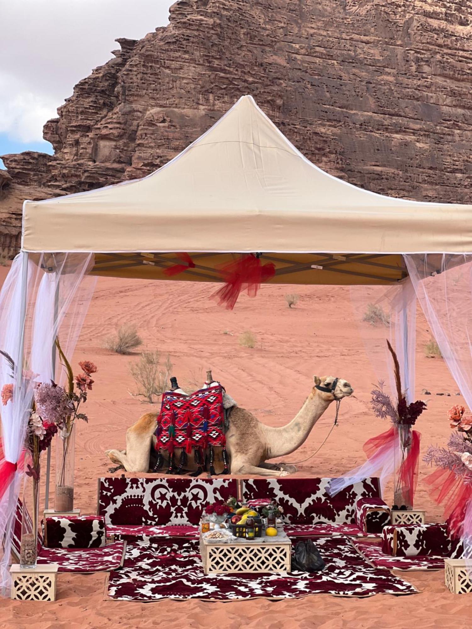Wadi Rum Rose Luxury Camp Ngoại thất bức ảnh