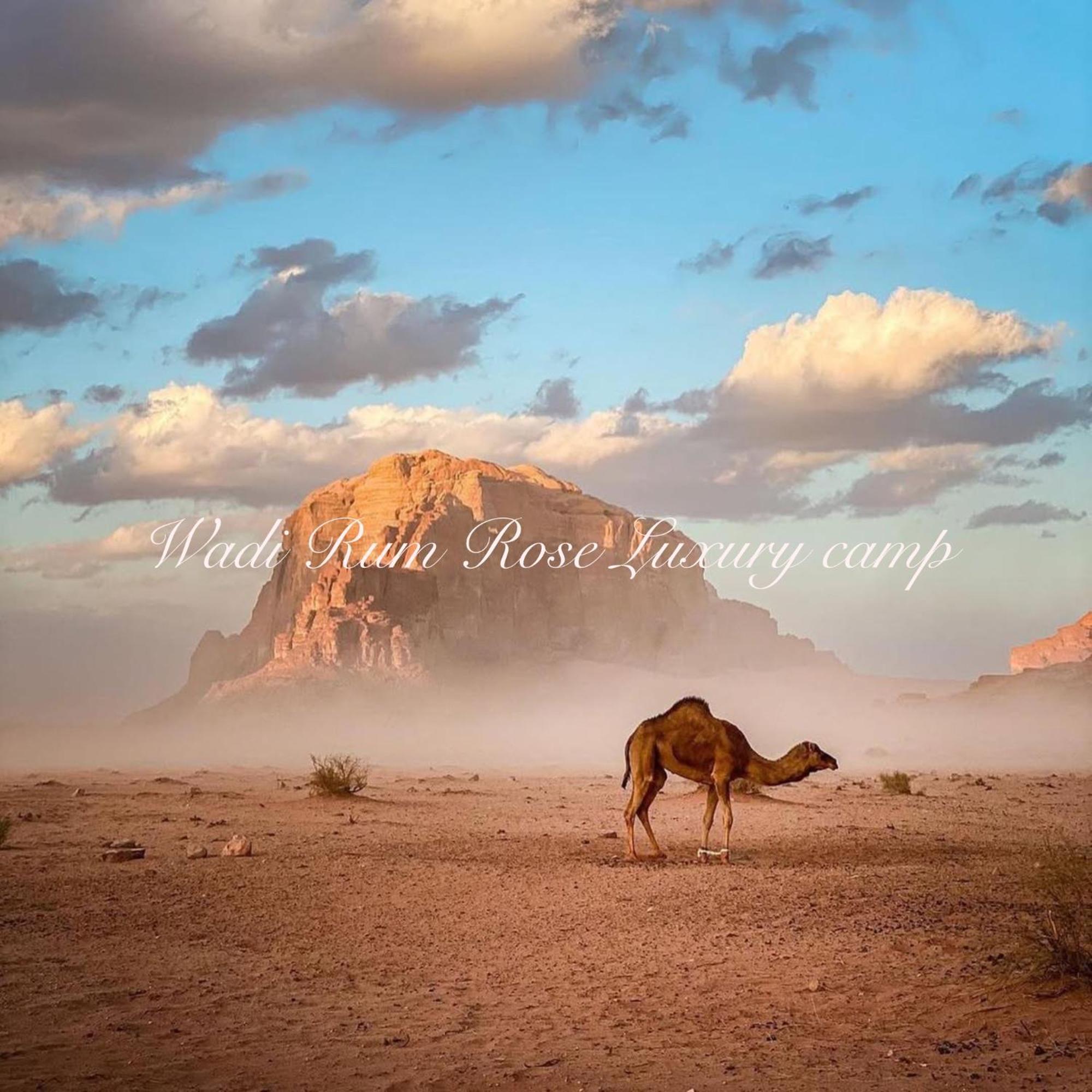 Wadi Rum Rose Luxury Camp Ngoại thất bức ảnh