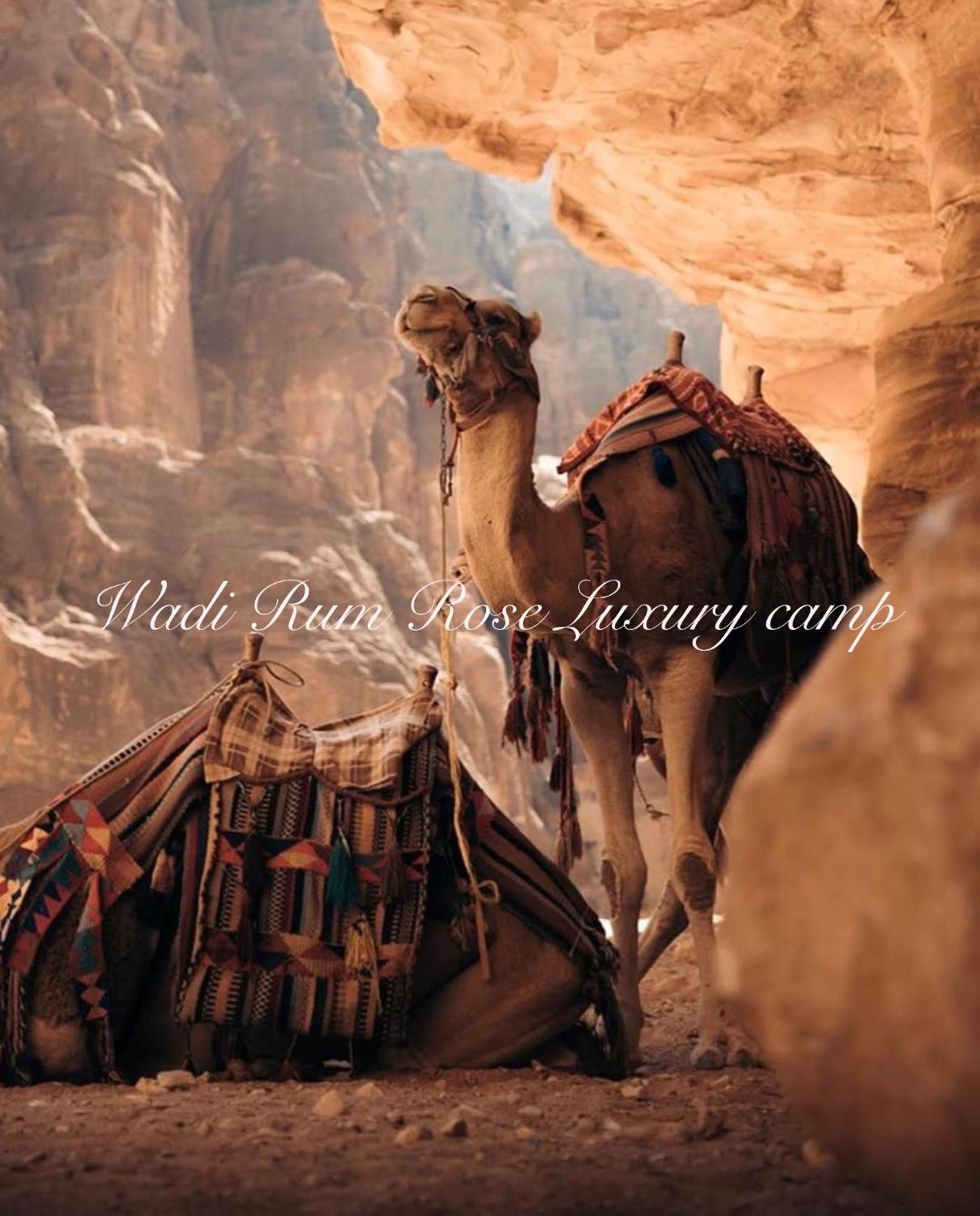 Wadi Rum Rose Luxury Camp Ngoại thất bức ảnh